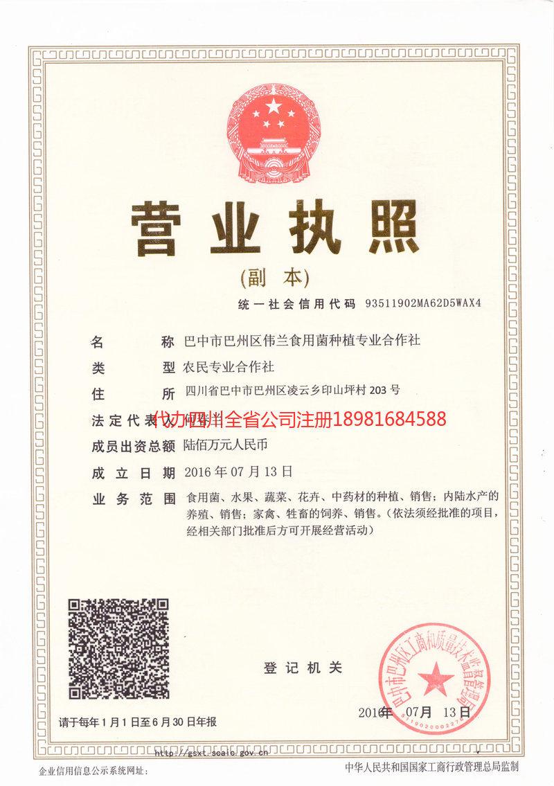 克拉玛依克拉玛依伟兰食用菌种植专业合作社