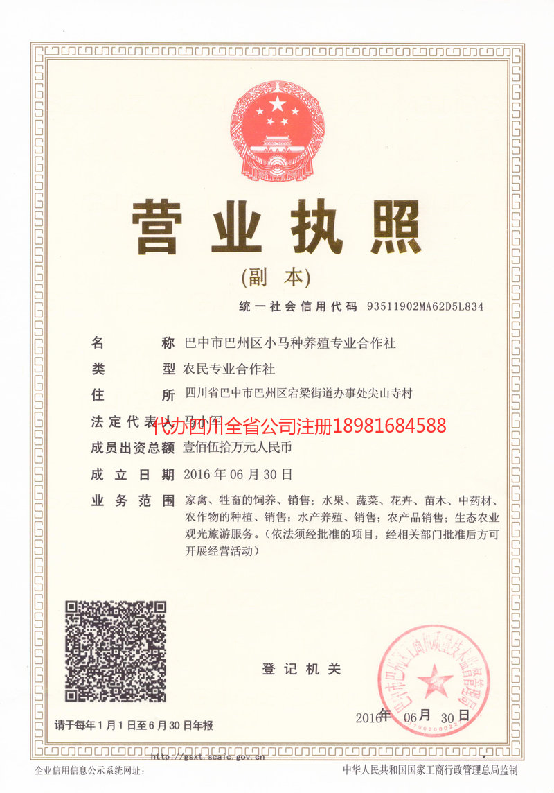 克拉玛依克拉玛依小马种养殖专业合作社